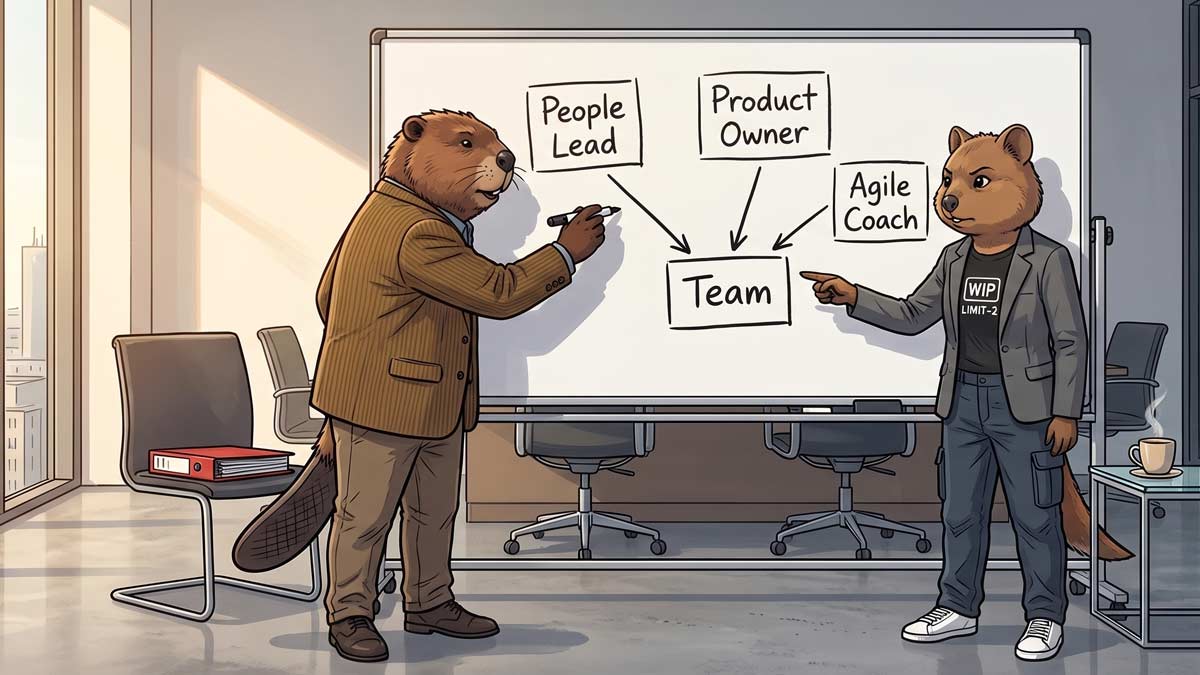 A beaver and a quokka stand at a whiteboard in a bright morning meeting room, sketching a four-box diagram labeled People Lead, Product Owner, Agile Coach, and Team